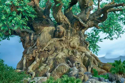 Serene Majestic Wallpaper Nature Wallpaper 4K 2048x1356 A, Majestic, Sprawling, Tree, With, Intricate, Roots, And, Lush, Green, Leaves, Capturing, Gray, Brown, Ultrawide, Full HD