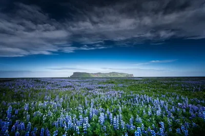 Sleek Vast Wallpaper Wallpaper 4K, Nature category