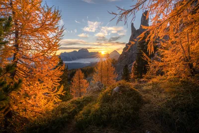 Vibrant Capturing Wallpaper Wallpaper 4K, Nature category