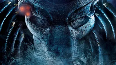 Golden Movie Wallpaper Black/Dark Wallpaper 4K 1920x1080 Hd, Desktop, Wallpaper, And, Background, From, The, Movie, Predator, Featuring, Close-up, 039, Brown, Gray, Ultrawide, Full HD