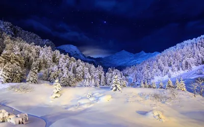Misty Serene Wallpaper Nature Wallpaper 4K 1920x1200 Hd, Desktop, Wallpaper, Of, A, Serene, Winter, Landscape, Featuring, Snow-covered, Trees, Under, White, Gray, Ultrawide, Full HD