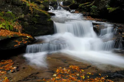 Bold Tranquil Wallpaper Nature Wallpaper 4K 2000x1333 A, Tranquil, Hd, Wallpaper, Featuring, Serene, Waterfall, Surrounded, Lush, Greenery, Fallen, Leaves, Gray, White, Ultrawide, Full HD