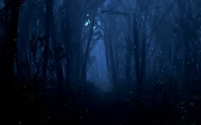 Mystical Dark Fantasy Forest Dim Black/Dark Wallpaper 4K 1680x1050 Hd, Desktop, Wallpaper, Featuring, A, Mystical, Dark, Fantasy, Forest, Dim, Blue, Light, Brown, Ultrawide