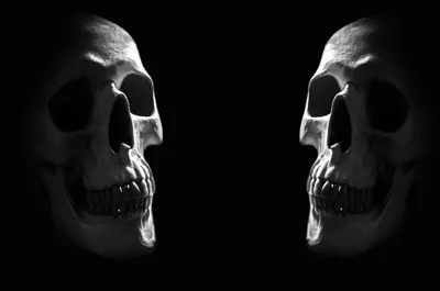 Dreamy Minimalist Wallpaper Black/Dark Wallpaper 4K 1920x1272 Minimalist, Dark, Hd, Desktop, Wallpaper, Showing, Two, Mirrored, Human, Skulls, Facing, Each, Gray, Ultrawide, Full HD