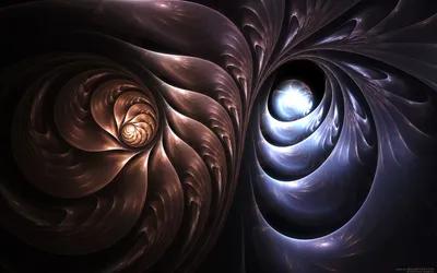 Artistic Cgi Interpretation Abstract Wallpaper 4K 1920x1200 Hd, Desktop, Wallpaper, Featuring, An, Artistic, Cgi, Interpretation, Shells, Complex, Pattern, Swirling, White, Gray, Ultrawide, Full HD
