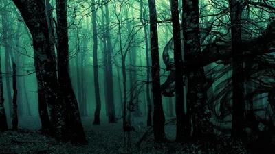 Calm Dark Wallpaper Nature Wallpaper 4K 1920x1080 Hd, Pc, Desktop, Wallpaper, Featuring, A, Dark, Forest, Tall, Bare, Trees, Shrouded, Brown, Ultrawide, Full HD