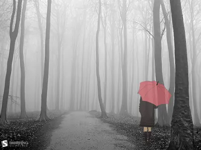Dark Gothic Wallpaper Nature Wallpaper 4K 1600x1200 Hd, Gothic, Desktop, Wallpaper, Showing, A, Solitary, Figure, Holding, Red, Umbrella, Walking, White, Landscape