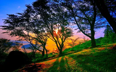 Vibrant Sunset Illuminates Serene Nature Wallpaper 4K 1920x1200 A, Vibrant, Sunset, Illuminates, Serene, Landscape, With, Silhouetted, Trees, Casting, Long, Shadows, Green, Orange, Ultrawide, Full HD