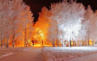 Misty Winter Wallpaper Nature Wallpaper 4K 2560x1600 A, Winter, Landscape, Featuring, Snow-covered, Trees, Illuminated, By, Warm, Golden, Lights, Captured, White, Brown, Ultrawide, QHD