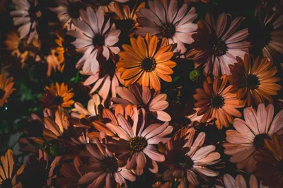 General 6048x4024 Abstract Abstract Wallpaper 4K 6048x4024 Wallpaper, General, 6048x4024, Brown, Gray, Ultrawide, 4k