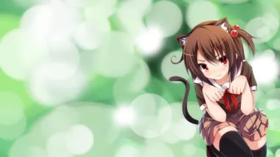 Epic Anime Wallpaper Animals Wallpaper 4K 1920x1080 Hd, Desktop, Wallpaper, Featuring, An, Anime, Girl, With, Cat, Ears, Tail, Playful, Gray, White, Ultrawide, Full HD