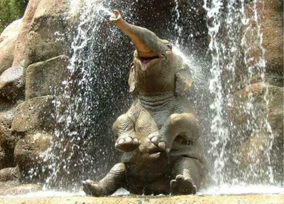 Joyful Asian Elephant Bathing Animals Wallpaper 4K 2000x1437 Hd, Desktop, Wallpaper, Of, A, Joyful, Asian, Elephant, Bathing, Under, Waterfall, Raising, Gray, White, Landscape, Full HD