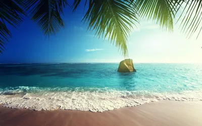 Nature Beach Nature Nature Wallpaper 4K 1920x1200 Nature, Beach, Hd, Desktop, Wallpaper, Background, Image, White, Ultrawide, Full HD
