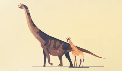 Giraffe Minimalist Animal Dinosaur Minimal Wallpaper 4K 3237x1897 Giraffe, Minimalist, Animal, Dinosaur, Hd, Desktop, Wallpaper, White, Ultrawide, QHD