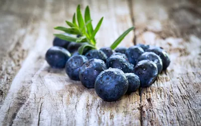 Moody Berry Wallpaper Abstract Wallpaper 4K 2560x1600 Berry, Fruit, Food, Blueberry, Hd, Desktop, Wallpaper, White, Gray, Ultrawide, QHD