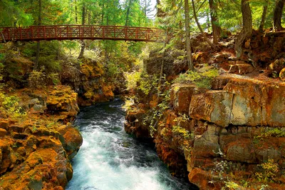 Vibrant Forest Stream Flowing Nature Wallpaper 4K 3004x1999 Hd, Pc, Desktop, Wallpaper, Showing, A, Vibrant, Forest, Stream, Flowing, Beneath, Wooden, White, Ultrawide, QHD
