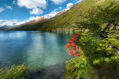 Serene Lake Bordered Lush Trees Nature Wallpaper 4K 3264x2176 A, Serene, Lake, Bordered, By, Lush, Trees, With, Vibrant, Foliage, Framed, Majestic, Gray, White, Landscape, QHD