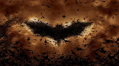 Movie Batman Begins Swarm Nature Wallpaper 4K 1920x1080 Hd, Desktop, Wallpaper, Featuring, A, Scene, From, The, Movie, Batman, Begins, Swarm, Brown, Ultrawide, Full HD