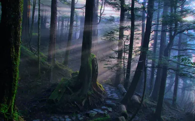 Serene Forest Bathed Sunbeams Highlighting Nature Wallpaper 4K 2560x1600 A, Serene, Forest, Path, Bathed, In, Sunbeams, Highlighting, Rich, Greens, Earth, Tones, Gray, Ultrawide, QHD