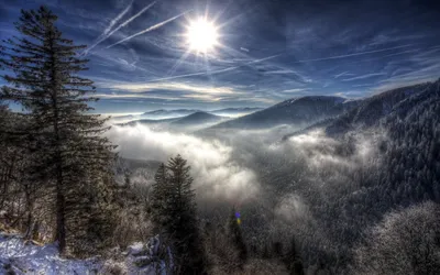 Vivid Winter Wallpaper Nature Wallpaper 4K 1920x1200 Hd, Desktop, Wallpaper, Of, A, Winter, Scene, Featuring, Sun, Rays, Piercing, Through, White, Gray, Ultrawide, Full HD