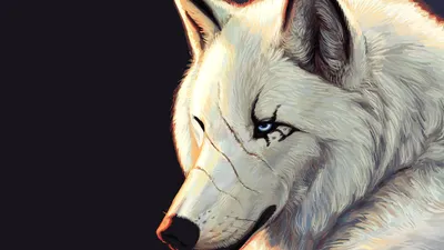 Close Digital Illustration White Wolf Animals Wallpaper 4K 1920x1080 Hd, Desktop, Wallpaper, Featuring, A, Close-up, Digital, Illustration, White, Wolf, Striking, Blue, Gray, Ultrawide, Full HD
