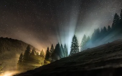 Starry Sky Illuminates Nature Wallpaper 4K 2048x1276 Starry, Sky, Illuminates, A, Forest, In, The, Swiss, Alps, Creating, Mystical, Glow, Gray, Ultrawide, Full HD