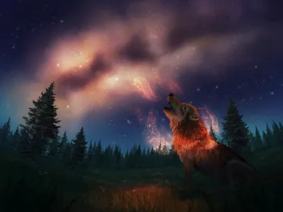 Fantasy Wolf Animals Animals Wallpaper 4K 2000x1500 Fantasy, Wolf, Hd, Desktop, Wallpaper, Background, Image, Brown, Gray, Landscape, Full HD