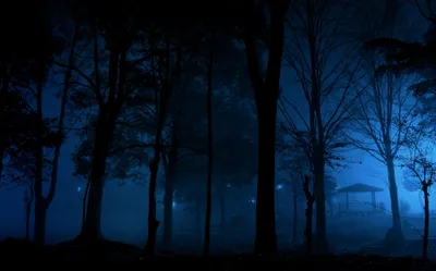 Bold Serene Wallpaper Black/Dark Wallpaper 4K 2048x1276 A, Serene, Night, Scene, Featuring, Dark, Blue, Trees, Misty, Forest, Hint, Light, Brown, Red, Ultrawide, Full HD
