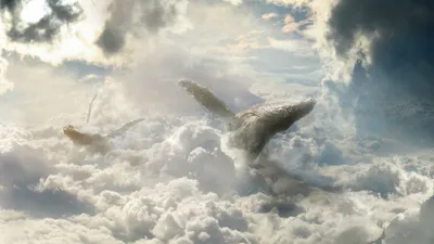 Fantasy Depicting Whale Nature Wallpaper 4K 1920x1080 A, Fantasy, Hd, Desktop, Wallpaper, Depicting, Whale, Gracefully, Swimming, Through, Cloudy, Sky, White, Gray, Ultrawide, Full HD