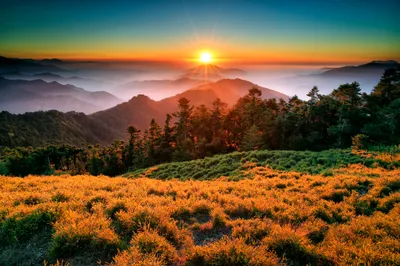Sunset Illuminates Fog Wallpaper 4K, Nature category