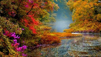 Bright Scenic Wallpaper Nature Wallpaper 4K 1920x1080 Scenic, Nature, View, With, Vibrant, Autumn, Foliage, And, Serene, Lake, Captured, Stunning, Gray, Ultrawide, Full HD