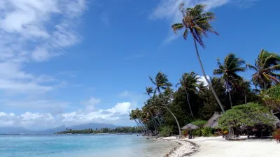 Serene Beach Clear Waters Nature Wallpaper 4K 2560x1440 A, Serene, Beach, Scene, Featuring, Clear, Waters, And, Swaying, Palm, Trees, Under, Green, Pink, Ultrawide, QHD