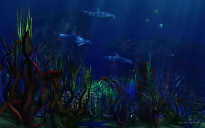 Radiant Vibrant Wallpaper Abstract Wallpaper 4K 2560x1600 A, Vibrant, Underwater, Scene, Featuring, Dolphins, Swimming, Through, Colorful, Coral, Seaweed, Creating, Brown, Ultrawide, QHD
