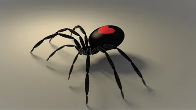 Dark Gothic Wallpaper Black/Dark Wallpaper 4K 1920x1080 Gothic, Valentine's, Day, Hd, Pc, Desktop, Wallpaper, A, Valentine, 039, Black, Spider, Gray, Ultrawide, Full HD