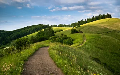 Scenic Man Winding Nature Wallpaper 4K 2560x1600 A, Scenic, Hd, Wallpaper, Showing, Man-made, Path, Winding, Through, Lush, Landscape, Rolling, Gray, White, Ultrawide, QHD