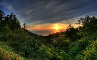 Golden Sunset Wallpaper Nature Wallpaper 4K 1920x1200 Hd, Desktop, Wallpaper, Featuring, A, Stunning, Sunset, Over, Lush, Forest, Near, Serene, Gray, Ultrawide, Full HD