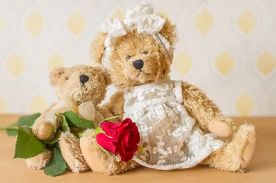 Vivid Two Wallpaper Abstract Wallpaper 4K 2048x1365 Two, Stuffed, Teddy, Bears, Sit, Together, One, Holding, Vibrant, Red, Rose, Against, White, Ultrawide, Full HD