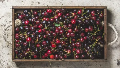 Moody Fruit Wallpaper Abstract Wallpaper 4K 4500x2565 Fruit, Food, Cherry, Hd, Desktop, Wallpaper, Background, White, Ultrawide, 4k