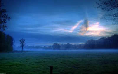 Serene Field Dusk Foggy Ambiance Nature Wallpaper 4K 2560x1600 Hd, Desktop, Wallpaper, Featuring, A, Serene, Field, At, Dusk, Foggy, Ambiance, Lush, Brown, Pink, Ultrawide, QHD
