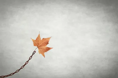 Calm Minimalist Wallpaper Minimal Wallpaper 4K 2048x1365 Minimalist, Chain, Artistic, Leaf, Hd, Desktop, Wallpaper, White, Ultrawide, Full HD