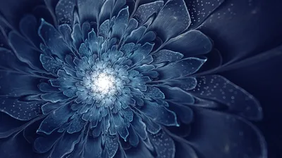 Abstract Fractal Design Blue Nature Wallpaper 4K 2560x1440 Hd, Desktop, Wallpaper, Featuring, An, Abstract, Fractal, Design, Blue, Flower, Intricate, Petal, Brown, Ultrawide, QHD