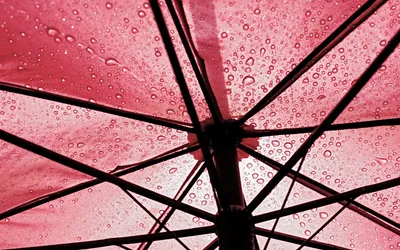 Epic Close Wallpaper Abstract Wallpaper 4K 1920x1200 Close-up, Photography, Of, Water, Droplets, On, The, Underside, Pink, Umbrella, Captured, High, Gray, Ultrawide, Full HD