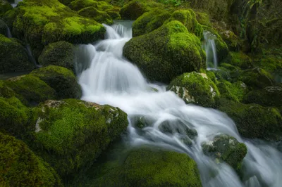 Moss Foam Nature Stream Nature Wallpaper 4K 2048x1365 Moss, Foam, Nature, Stream, Hd, Desktop, Wallpaper, Gray, White, Ultrawide, Full HD