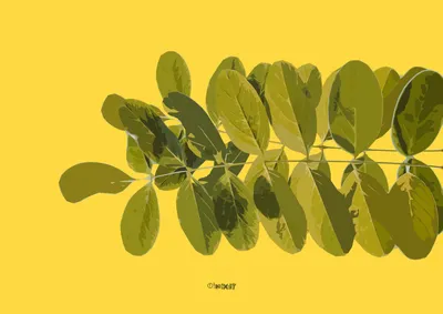 Moody Leaves Wallpaper Abstract Wallpaper 4K 3146x2229 Leaves, Yellow, Purple, Brown, Landscape, QHD