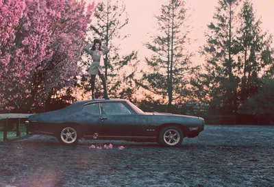 American Singer Lana Del Cars Wallpaper 4K 5880x4013 American, Singer, Lana, Del, Rey, Stands, On, A, Classic, Car, Surrounded, Pink, White, Landscape, 4k