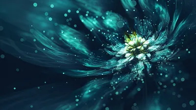 Epic Abstract Wallpaper Nature Wallpaper 4K 2560x1440 Hd, Abstract, Fractal, Wallpaper, Featuring, A, Glittering, Flower-like, Design, Vibrant, Teal, Green, Black, Ultrawide, QHD