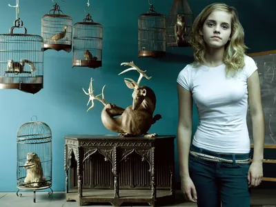 Celebrity Emma Watson Standing Animals Wallpaper 4K 1920x1440 Hd, Desktop, Wallpaper, And, Background, Featuring, Celebrity, Emma, Watson, Standing, Beside, Vintage, Gray, White, Landscape, Full HD