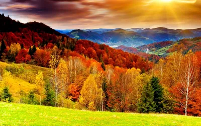 Moody Autumn Wallpaper Nature Wallpaper 4K 1920x1200 Hd, Desktop, Wallpaper, Featuring, A, Stunning, Autumn, Landscape, Vibrant, Fall, Foliage, Rolling, Yellow, Orange, Pink, Ultrawide, Full HD