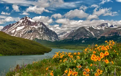 Vibrant Landscape Serene River Nature Wallpaper 4K 2560x1600 A, Vibrant, Landscape, Showcasing, Serene, River, Surrounded, Mountains, Adorned, Blooming, Yellow, Flowers, Gray, Ultrawide, QHD