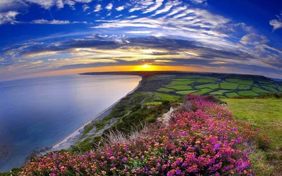 Coastline Sunset Framed Vibrant Wildflowers Nature Wallpaper 4K 1920x1200 A, Stunning, Coastline, At, Sunset, Framed, By, Vibrant, Wildflowers, Rolling, Green, Fields, Red, Gray, Ultrawide, Full HD